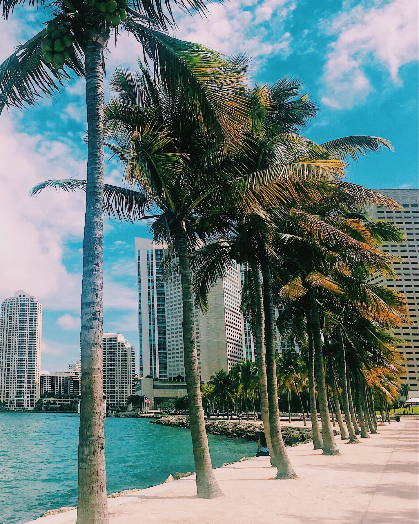 Miami Retreat (May 2026)