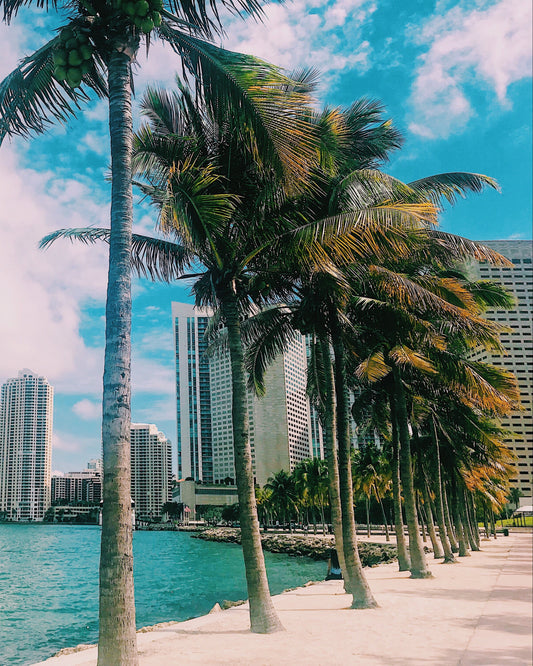 Miami Retreat (May 2026)